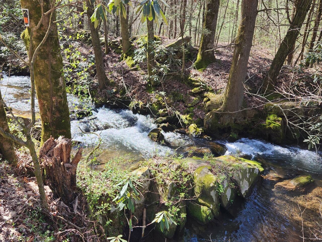 Peaceful creek and wooded surroundings near Heaven’s View cabin
